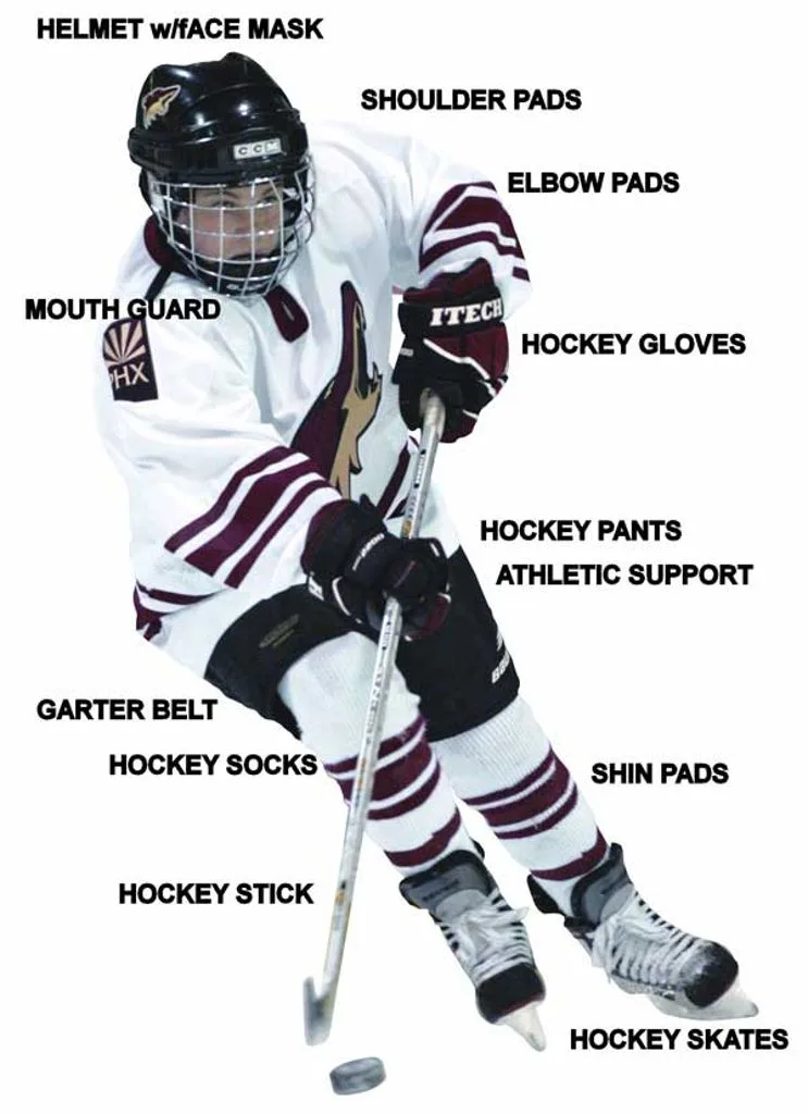 Accessories for a hockey player